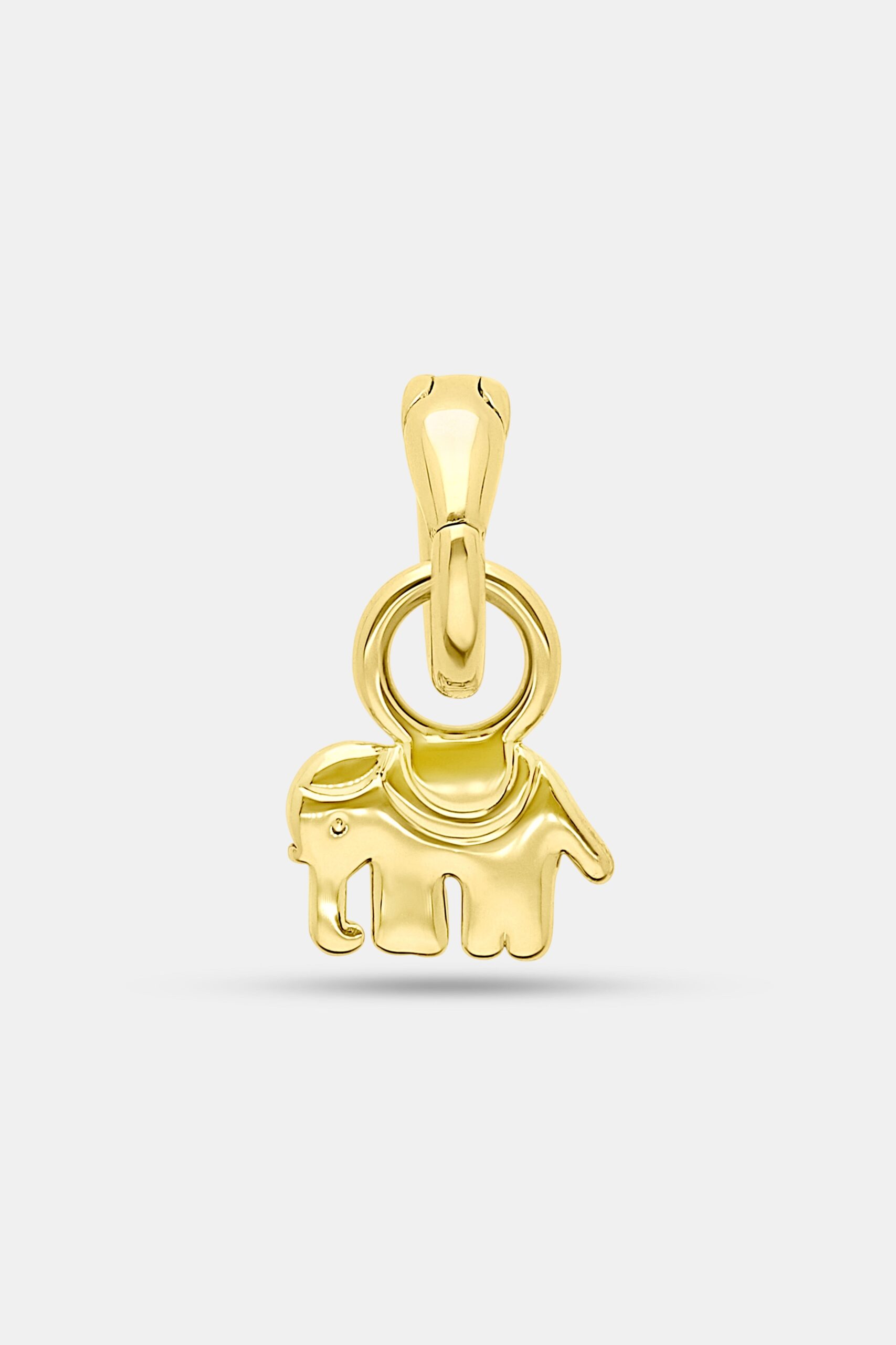 CHARM_ELEPHANT_0d4cf4c3-96b6-4a09-861e-23d6d02271cb