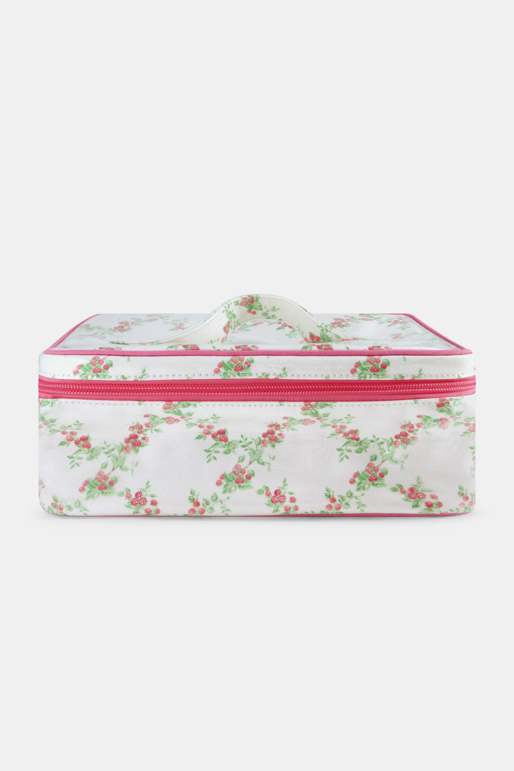 RASPBERRYGARDEN_009