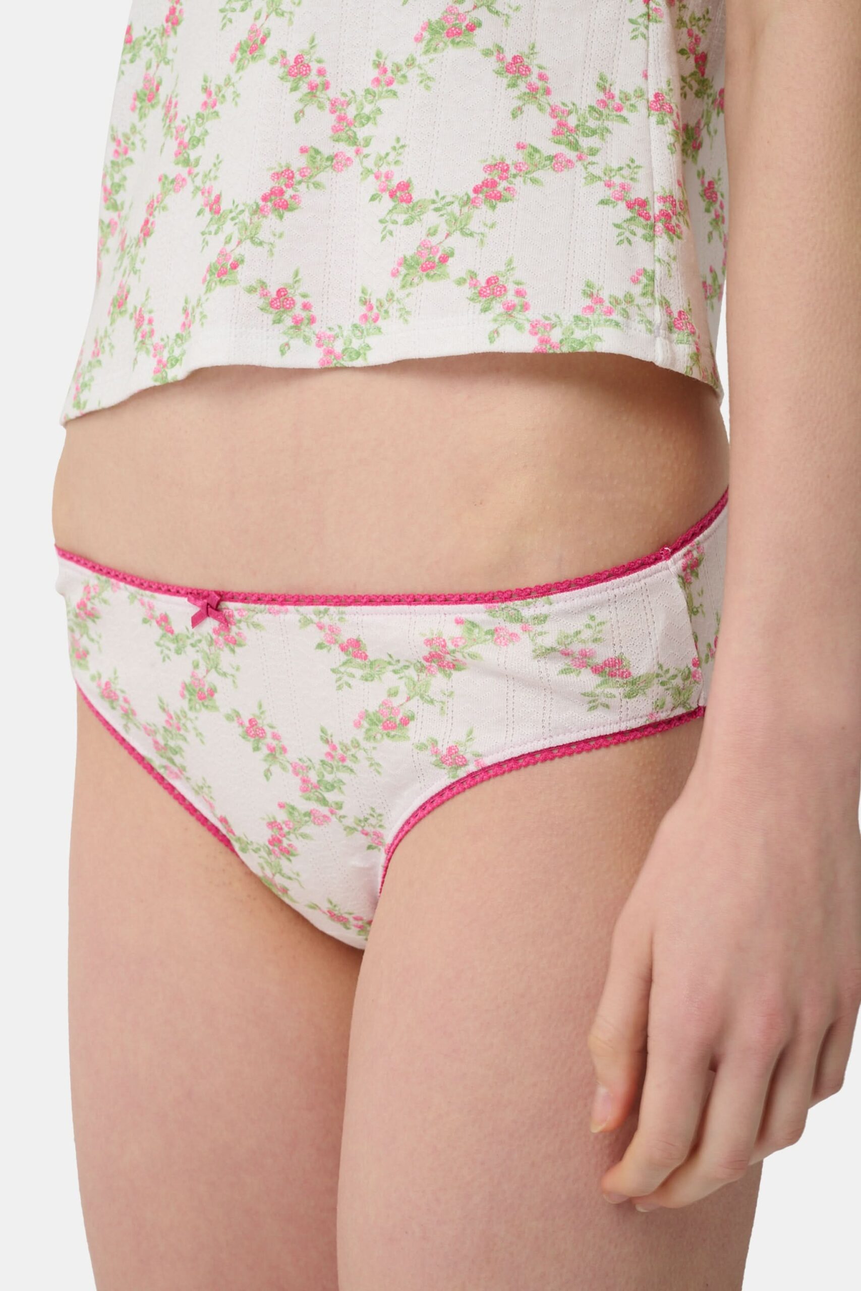 RASPBERRY_GARDEN_GWEN_BIKINI_1570